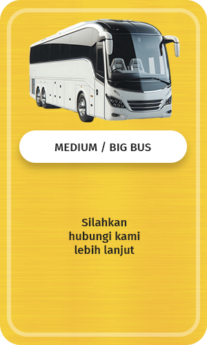 sewa medium atau big bus