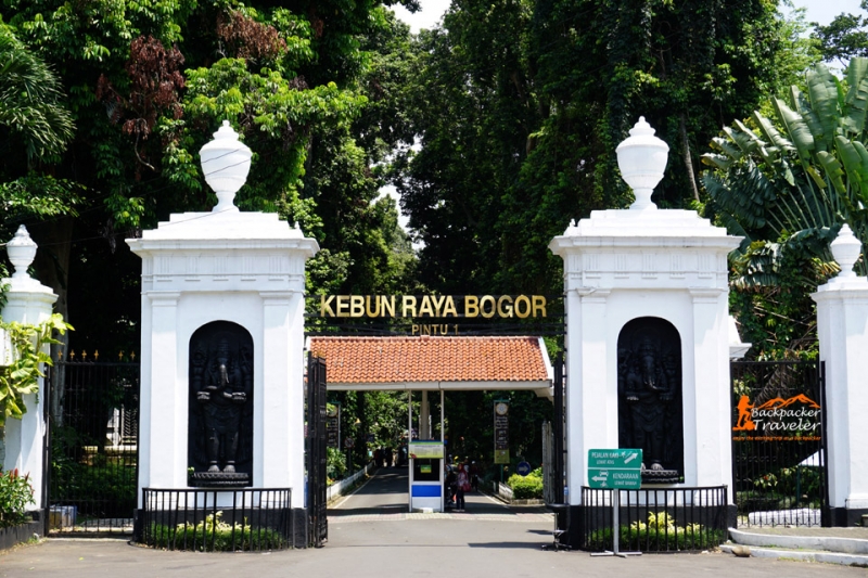 5 keunikan kebun raya bogor sebagai wisata keluarga